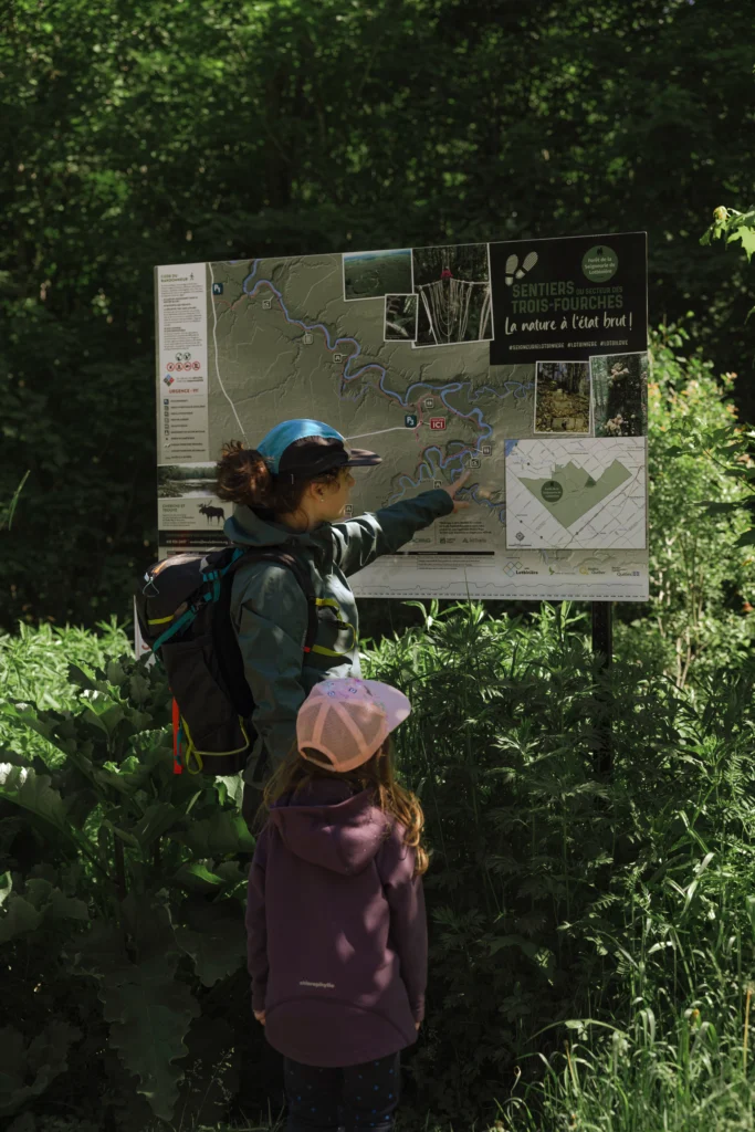 Forêt de la Seigneurie de Lotbinière (forêt publique)