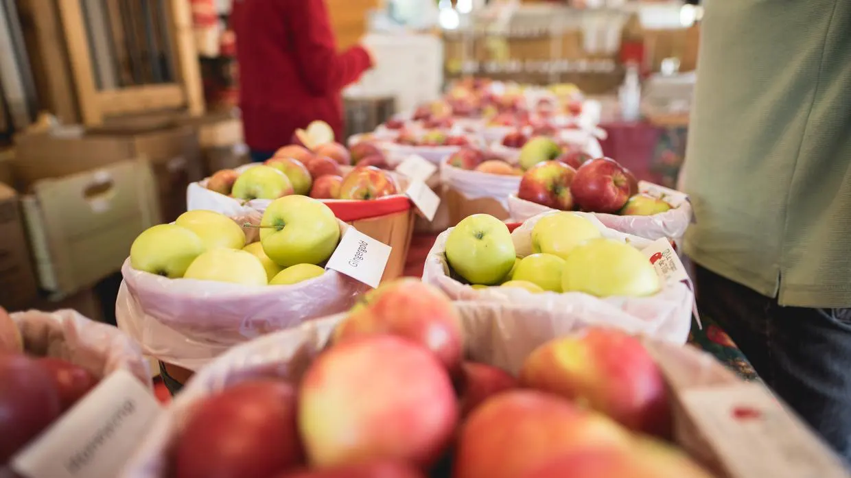 Pommes variées au marché local.