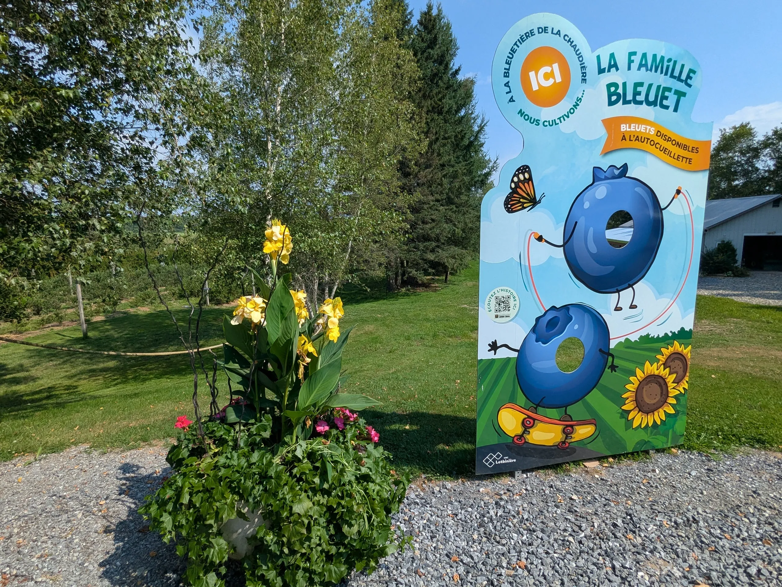 Panneau familial bleuets avec fleurs jaunes.