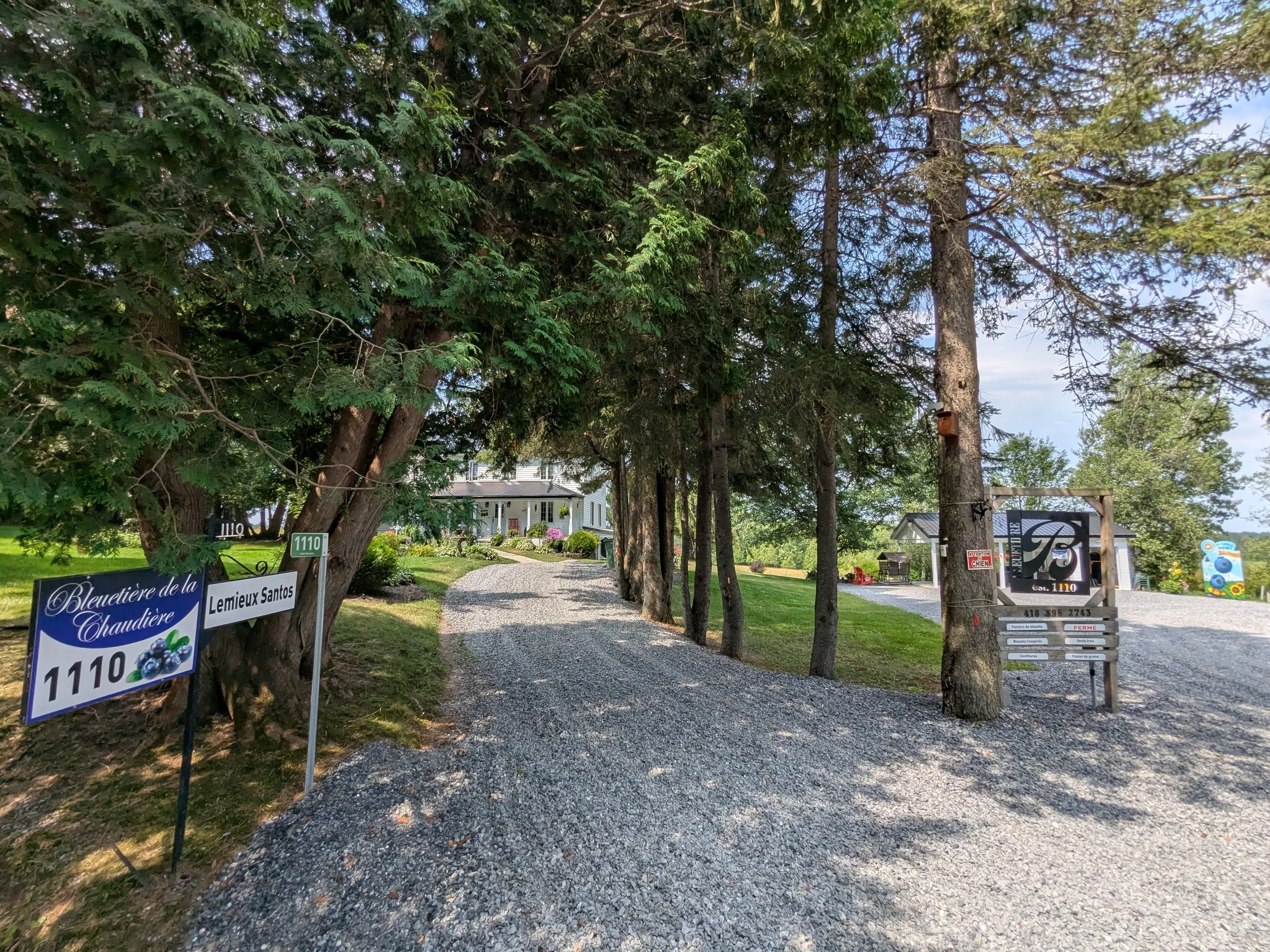 Chemin gravillonné menant à une maison entourée d'arbres.