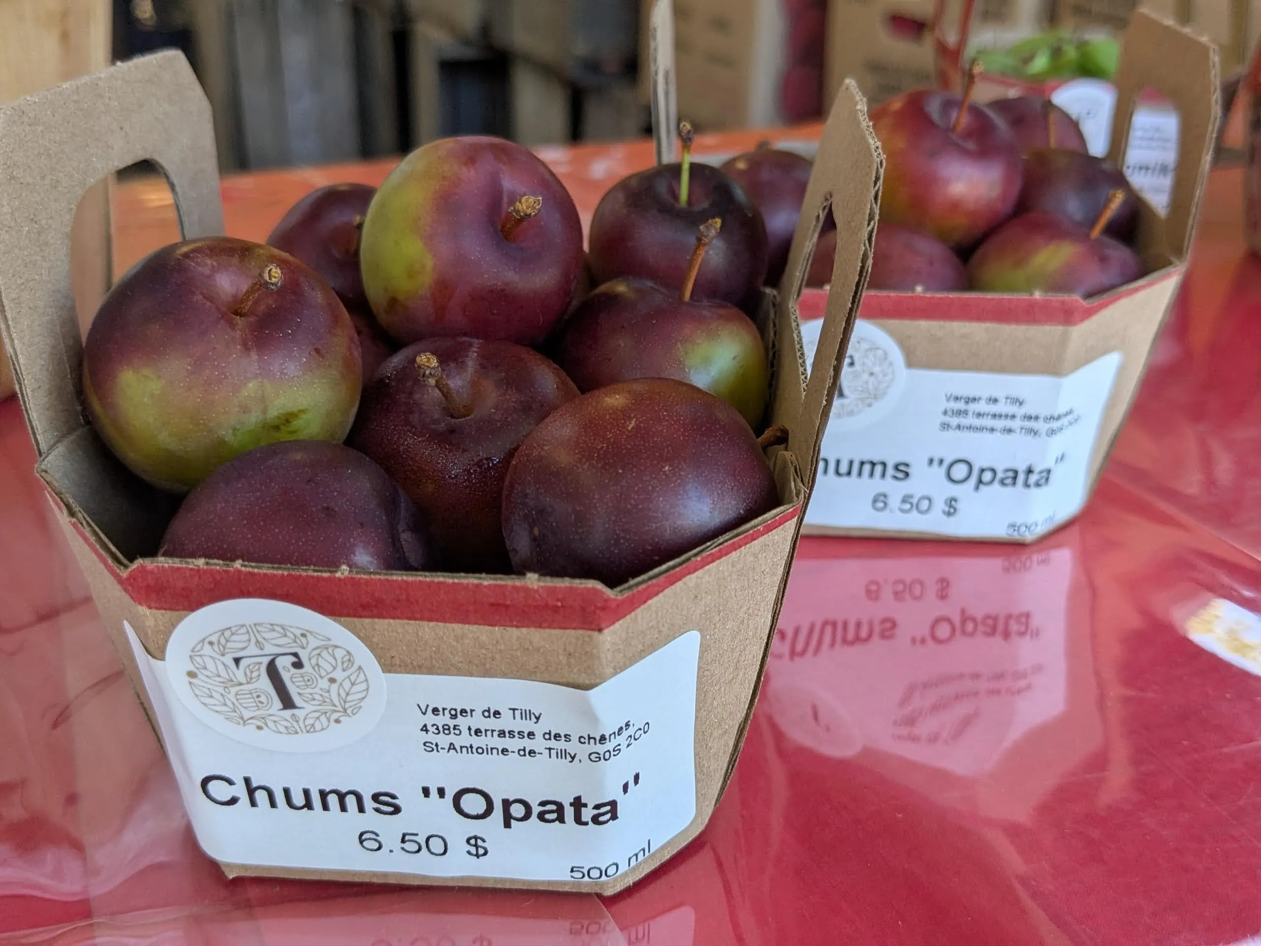 Paniers de prunes fraîches "Opata" en vente.