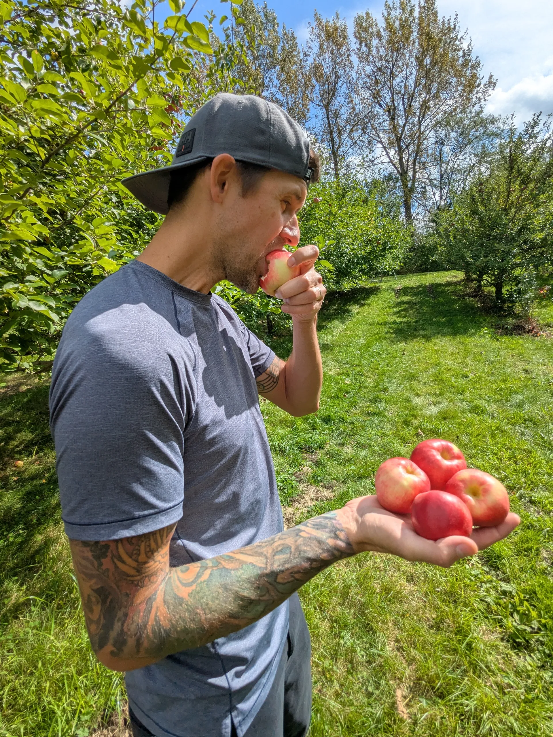 Homme mange une pomme dans un verger.