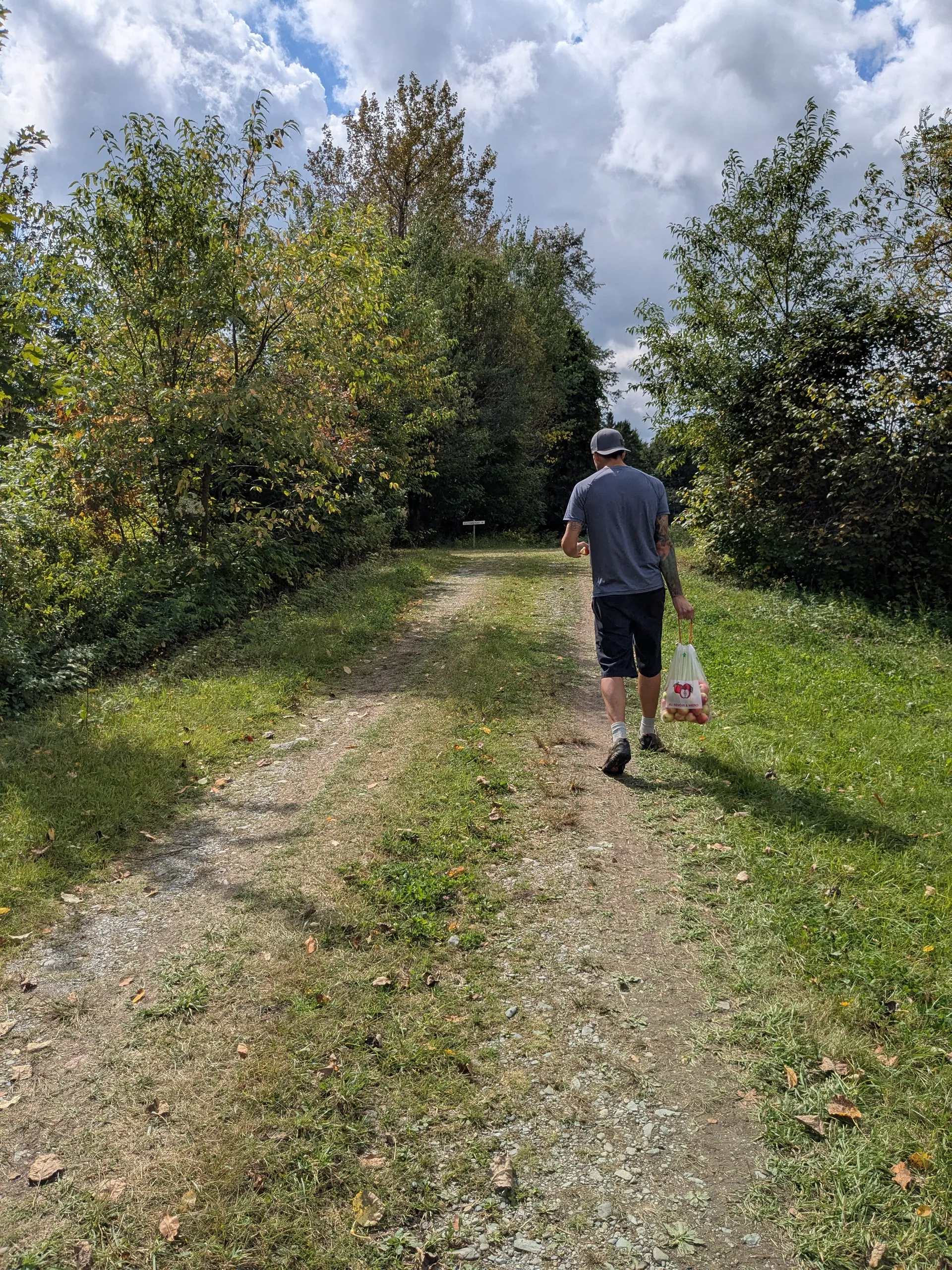 Personne marchant sur un chemin entouré d'arbres.