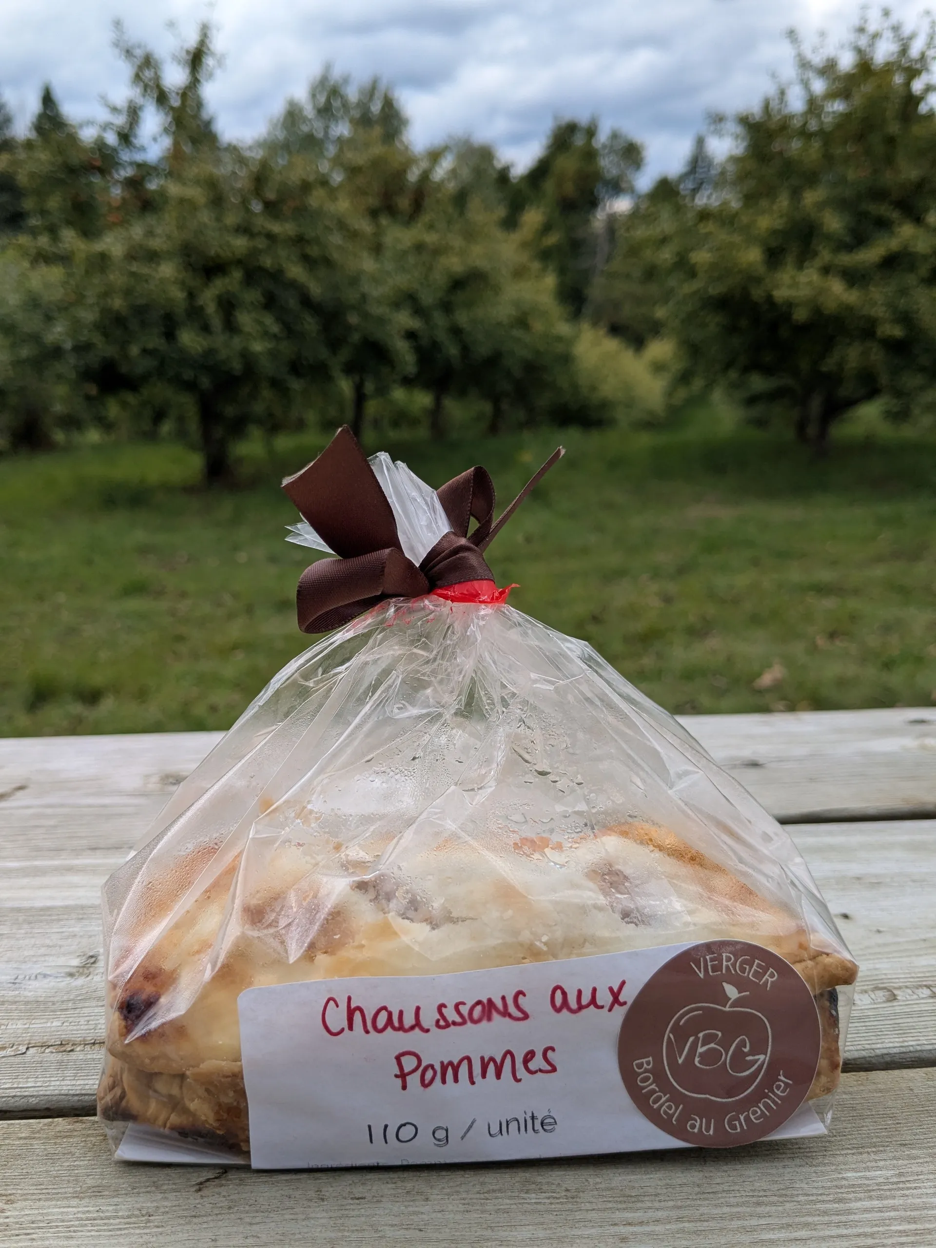 Chaussons aux pommes dans un verger.
