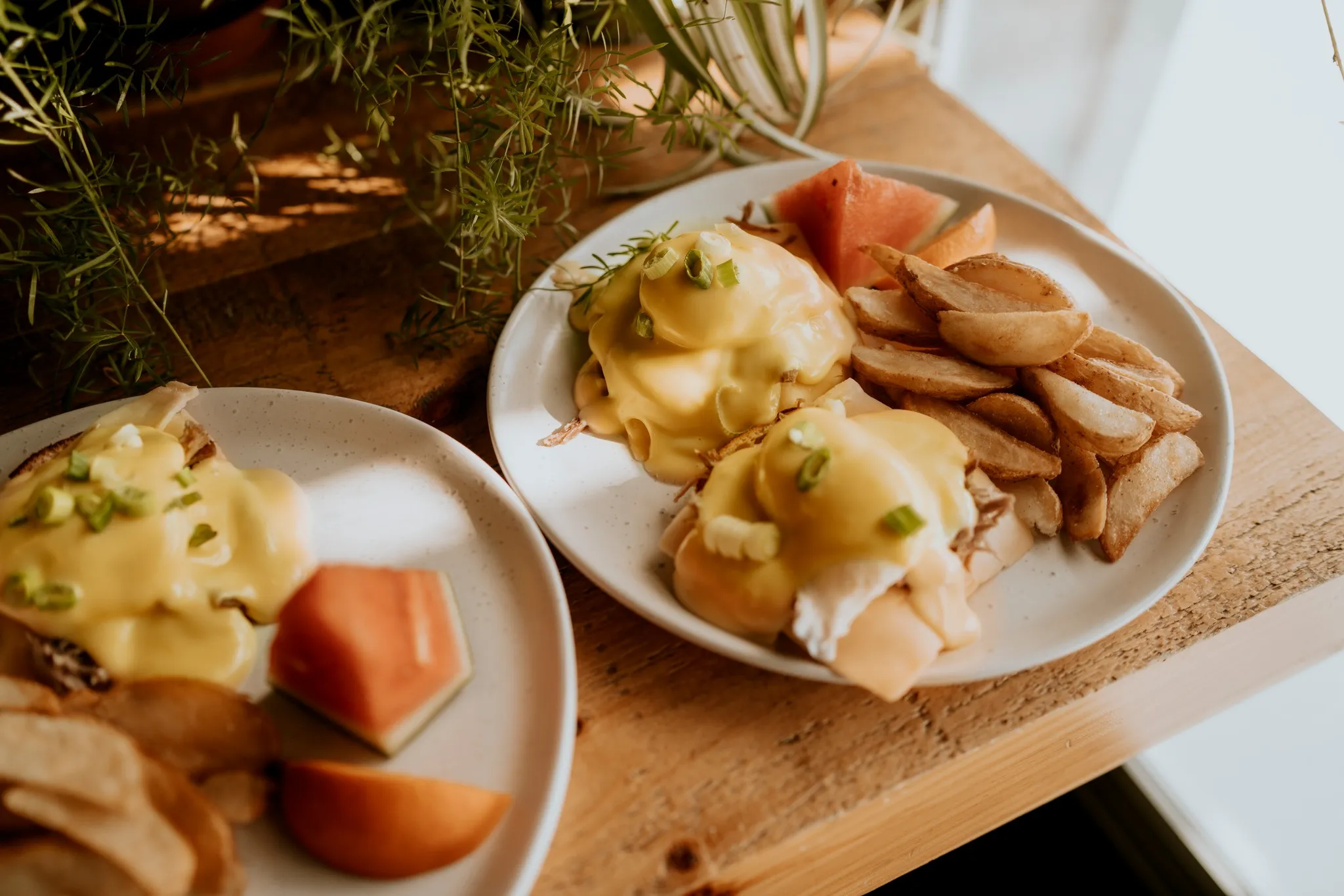 Brunchs déjeuners