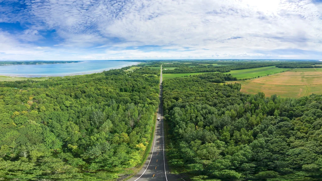 Route traversant forêt près d’un lac