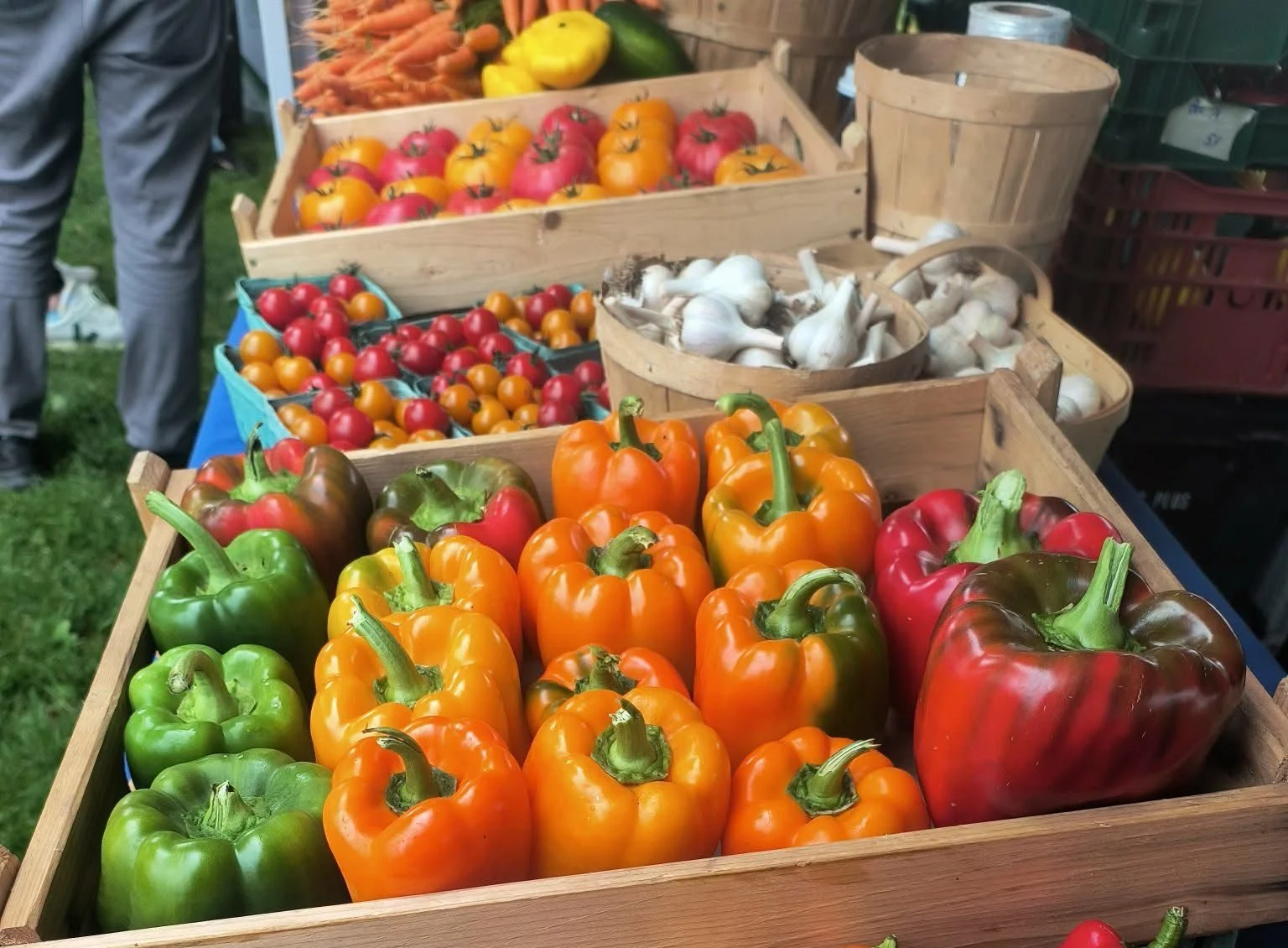 Paniers de légumes