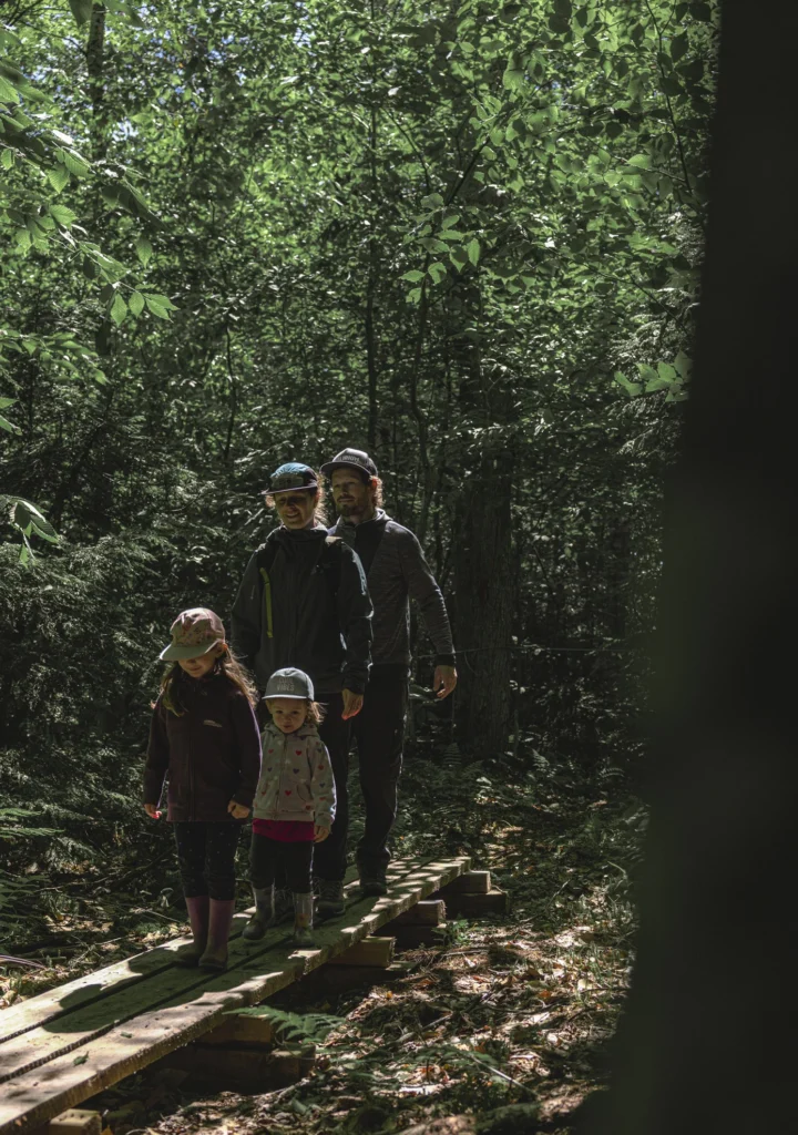 Famille marchant sur passerelle en forêt verdoyante