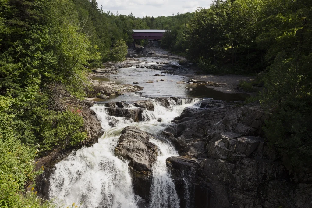 Cascade en forêt avec pont couvert