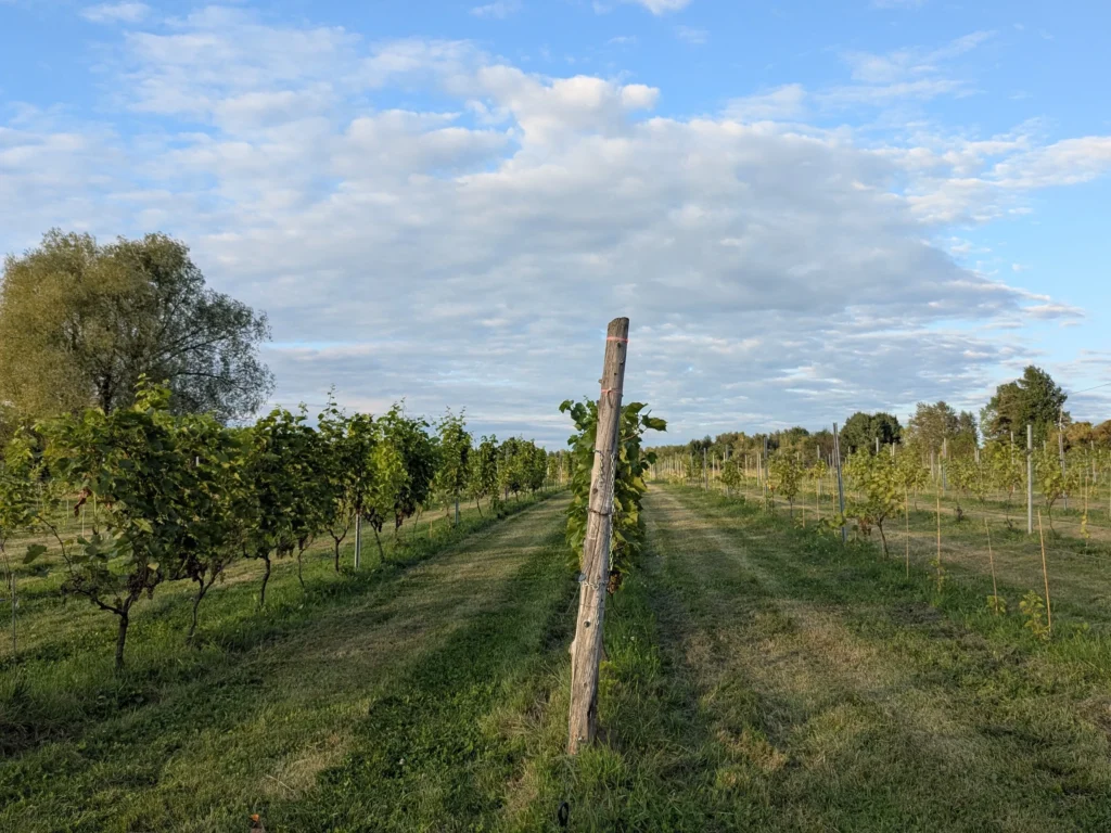 domaine small région lotbinière (102)